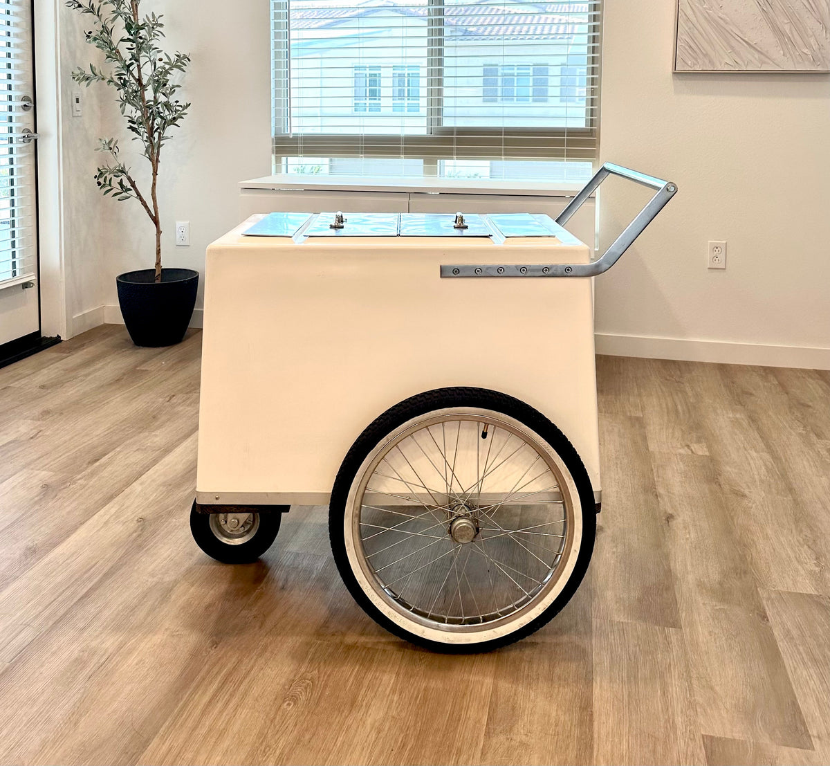 Paletas Carts