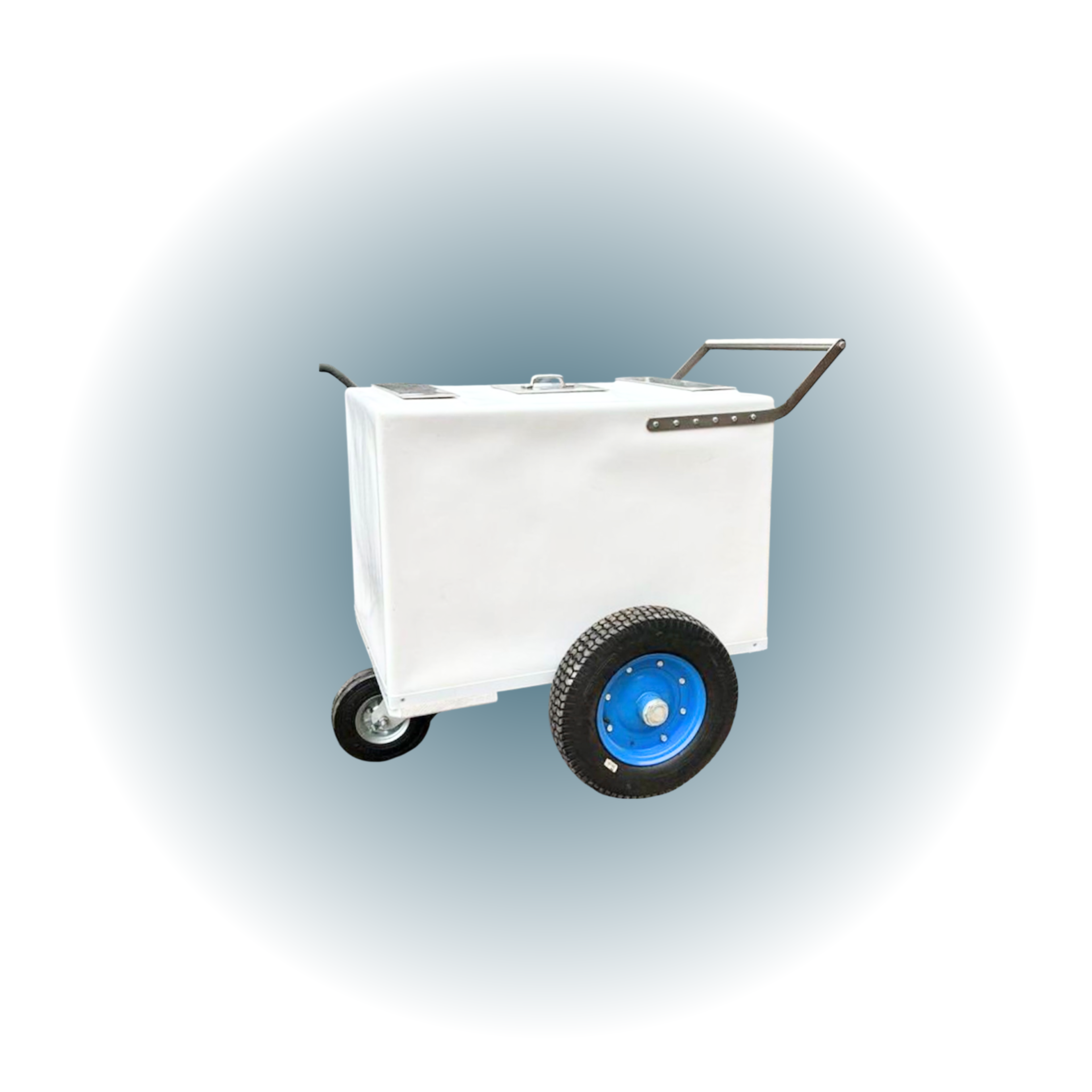 Paletas Cart