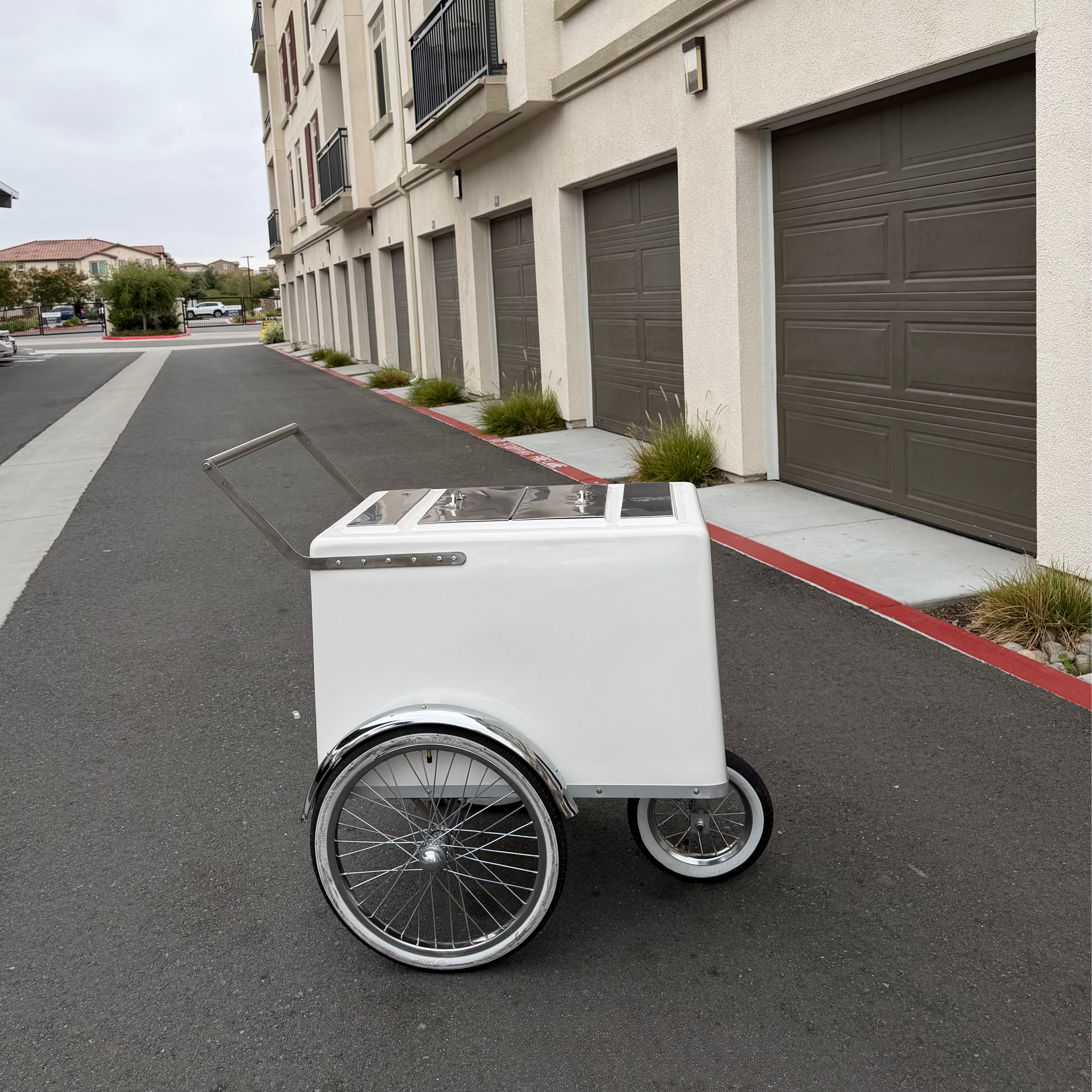 Paletas Cart Pro