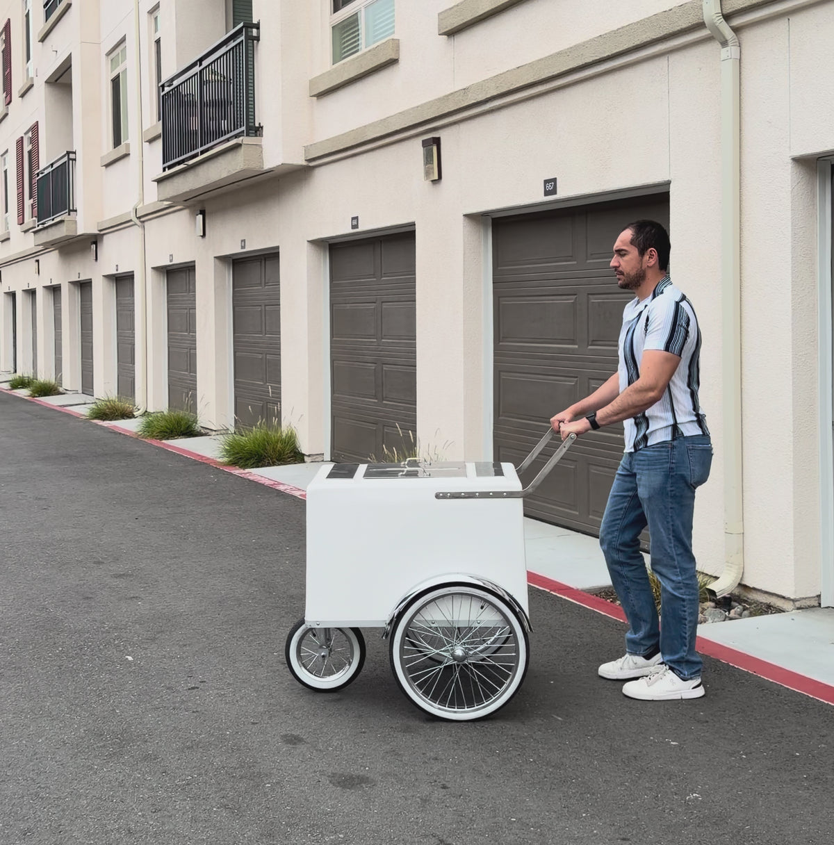 Paletas Cart Pro